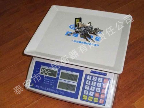 ACS系列電子計(jì)價稱